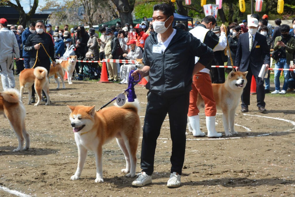 🌳 계성 공원 (케이죠 코엔) 이미지 11